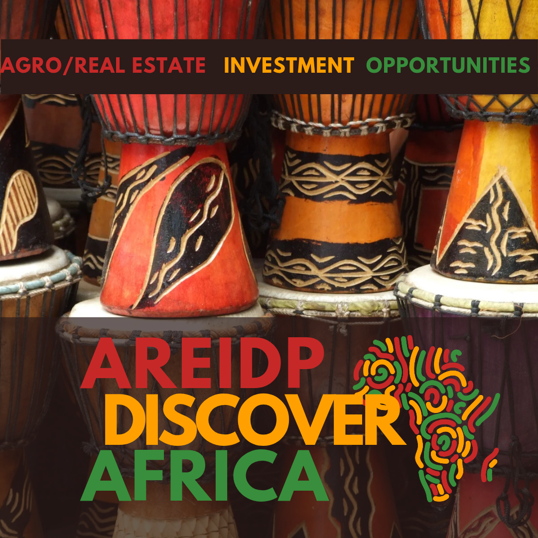 InvestAfrica...connecting you to the African root